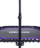 Батут TR-401 112 см с держателем, фиолетовый