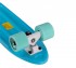 Пластиковый скейт PLANK MINIBOARD 22 (Голубой)